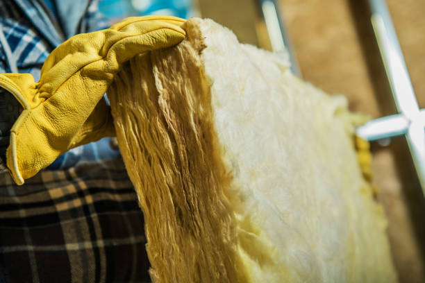 Best Residential Insulation in Channahon, IL