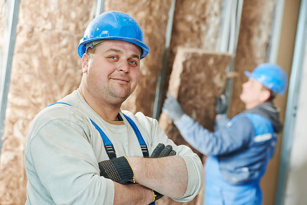 Best Eco-Friendly Insulation in Channahon, IL